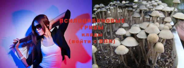дмт Ладушкин