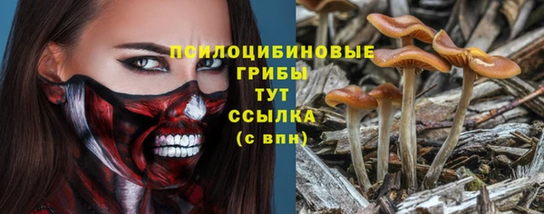 дмт Ладушкин