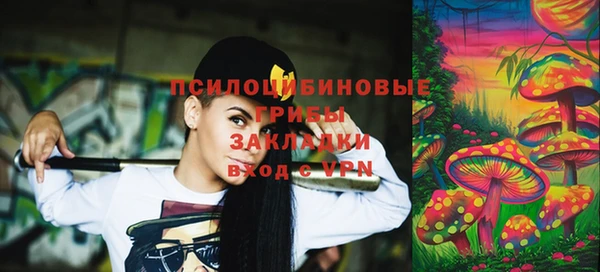 дмт Ладушкин