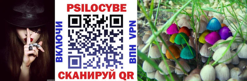 закладки  OMG сайт  Галлюциногенные грибы MAGIC MUSHROOMS  Нижняя Салда 